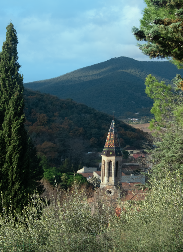 cathédrale de Collobrières prise en photo dans la nature pour la reconnaissance du trail des maures