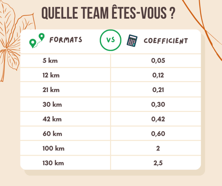 formats